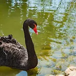 Menada In Cascadas Sluneční pobřeží