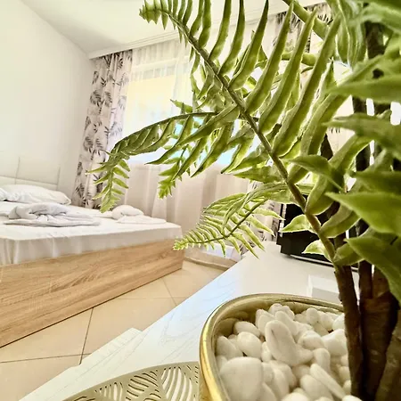 Menada In Cascadas 3*